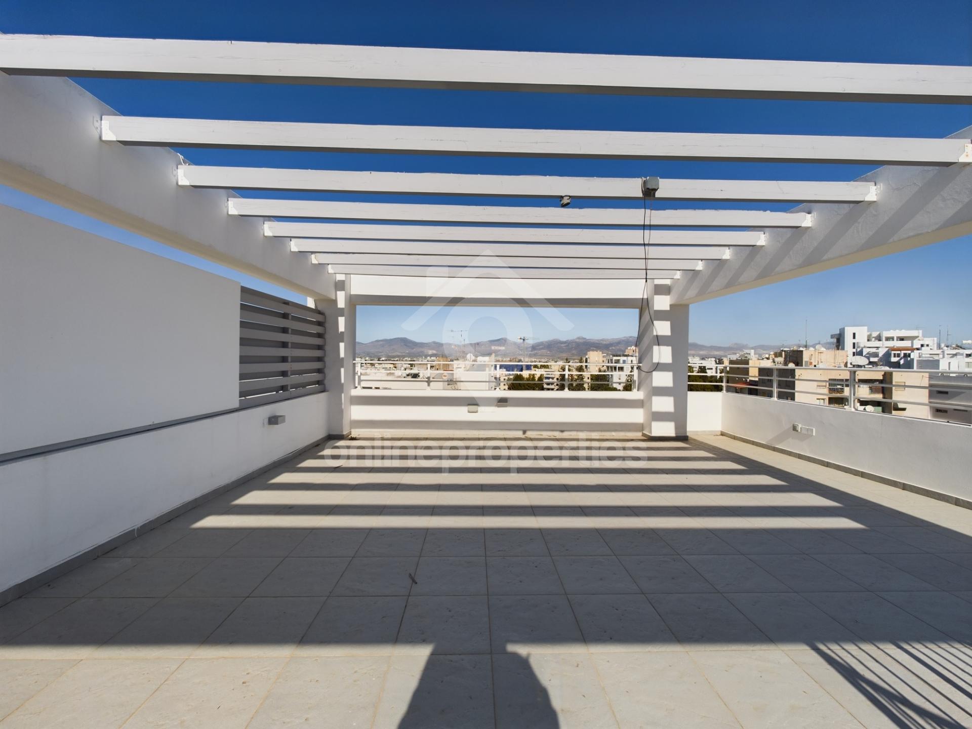 Super Penthouse with Private Roof Terrace