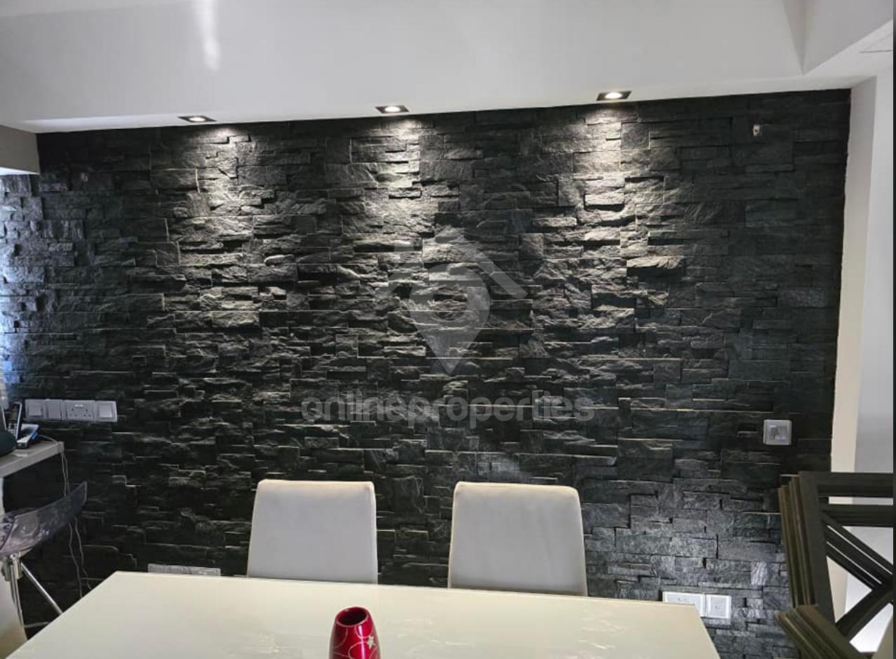 Fully Furnished apartment with roof garden