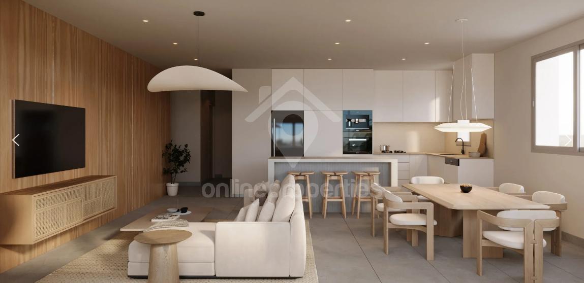 classy and modern new apartments