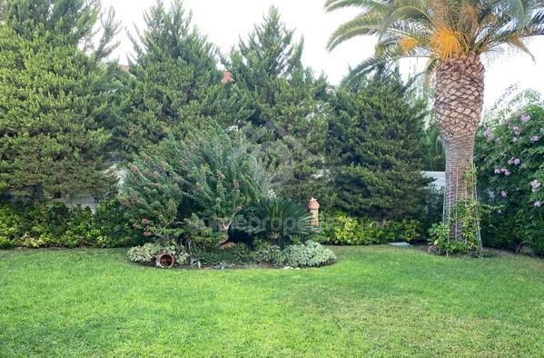 To change image, hover mouse over thumbnails below