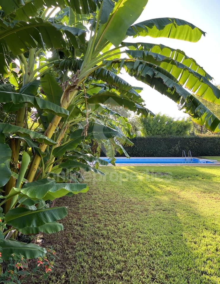 To change image, hover mouse over thumbnails below