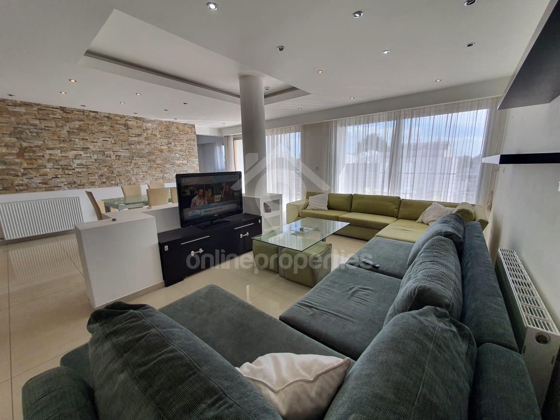 4 Bedroom Penthouse with Roof Garden in Strovolos